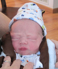 Danian 6 hours old