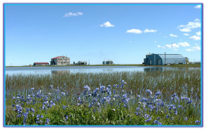 ColvilIe Village in July